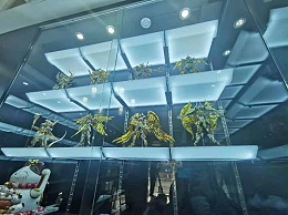 成都玻璃展示柜的运输安全